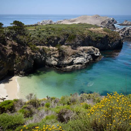 Point Lobos